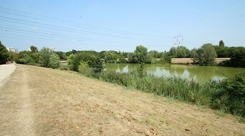 La ville de Massy soutient l’agriculture de proximité