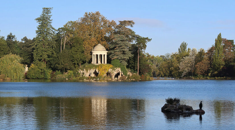 Le bois de Vincennes en péril ?