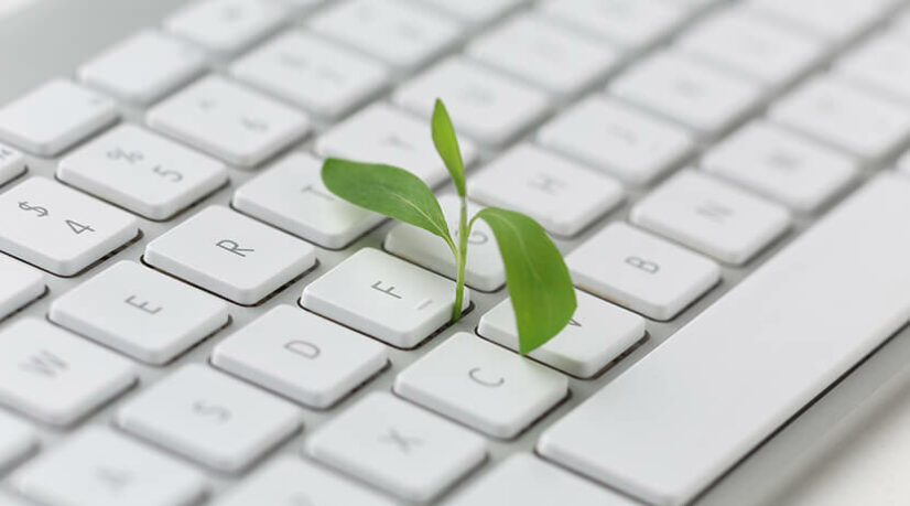 Dématérialisation écologique, vraiment ?