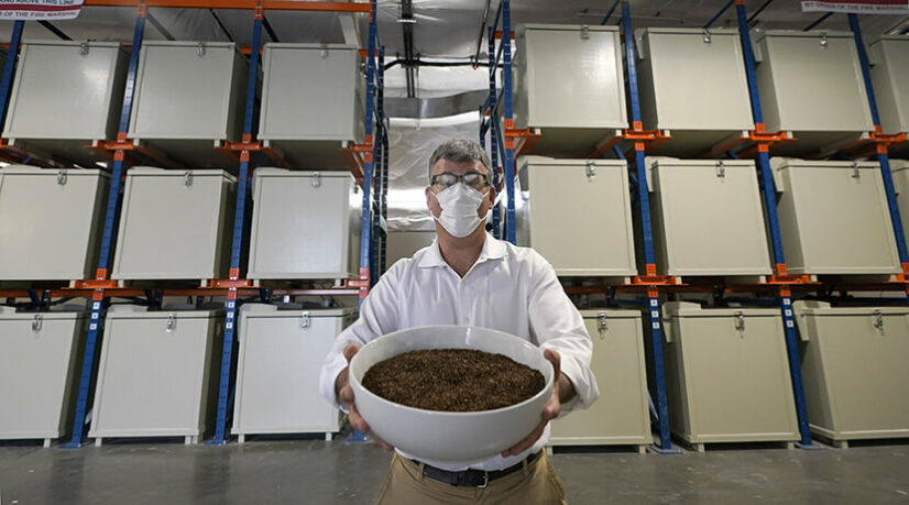 Le compost, une nouvelle façon de reposer en paix