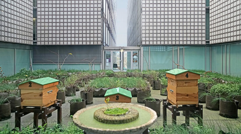 Parisculteurs met 20 sites à disposition pour cultiver en ville