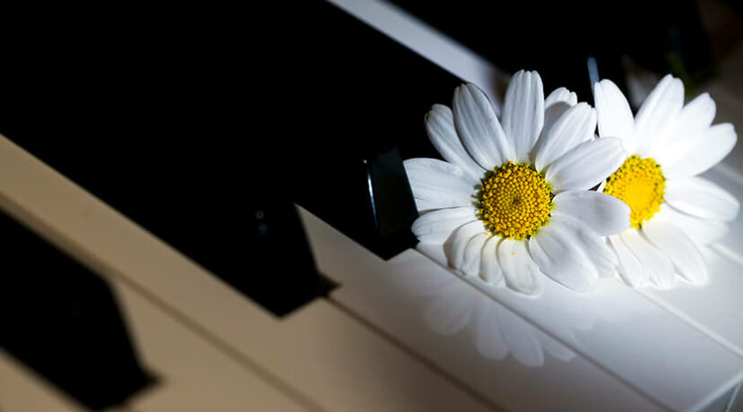 Des obsèques sur mesures et créatives