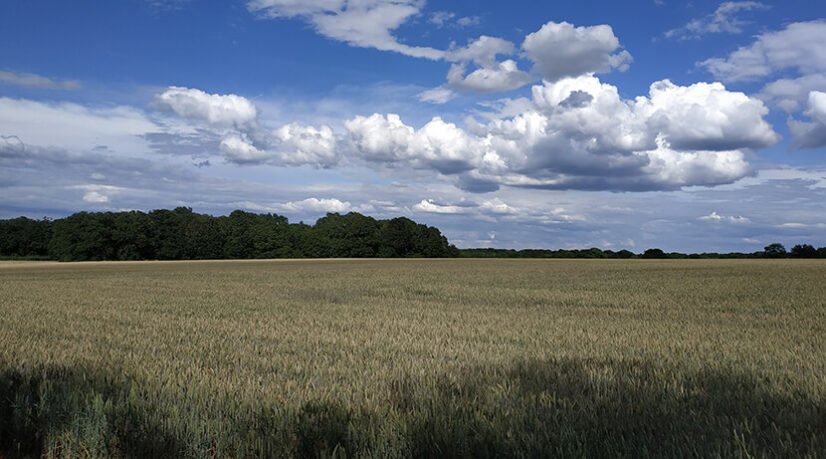 La sécheresse précoce inquiète les agriculteurs yvelinois