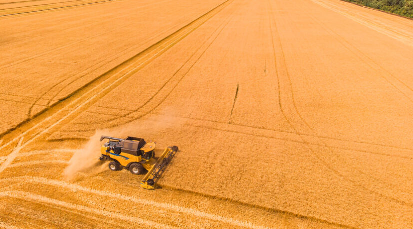 En Angleterre, la révolution de l'agriculture durable a échoué