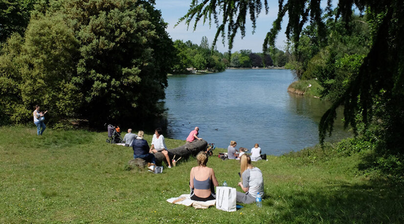 Le Conseil de Paris aux petits soins pour les bois de Boulogne et Vincennes