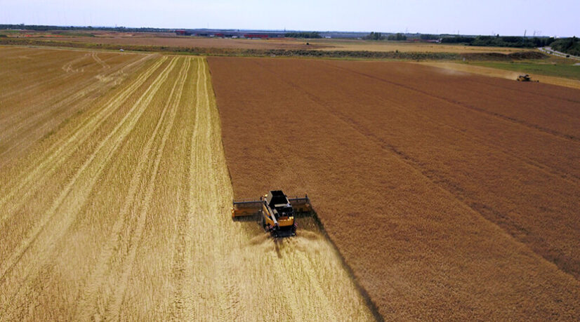 Grand Paris Sud veut protéger ses terres agricoles