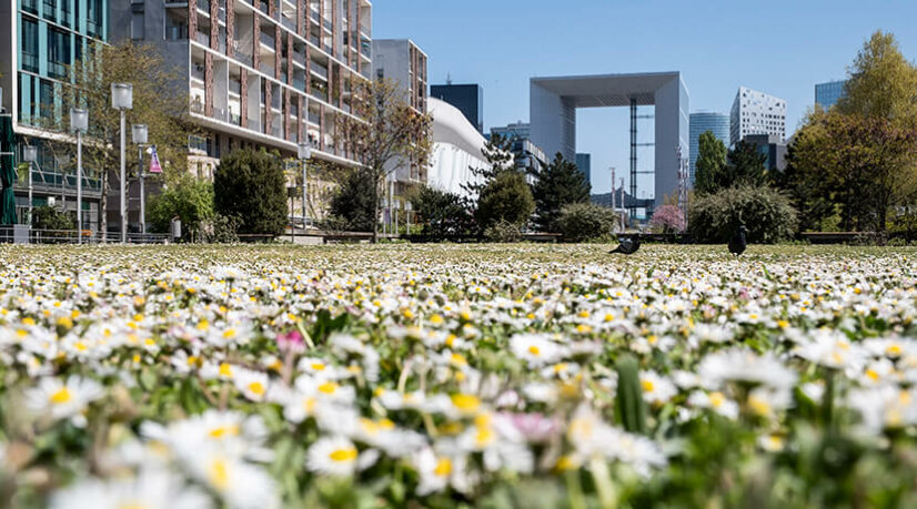 Paris La Défense rejoint le réseau “Cities Can B”
