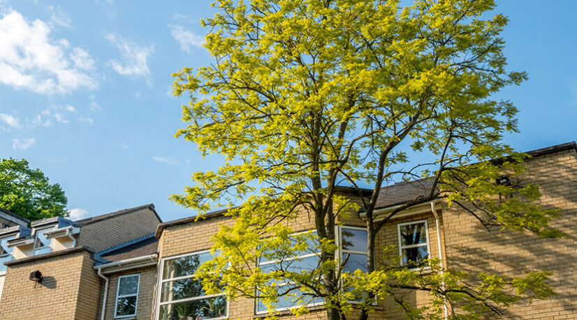 Le Val-de-Marne investit 44 millions d’euros pour l’habitat et le cadre de vie