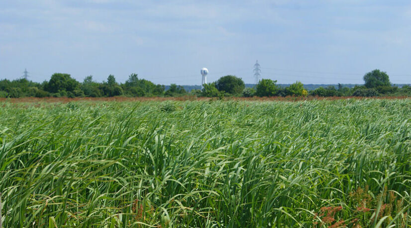 La bataille autour du projet de 4 voies entre Achères et Triel-sur-Seine continue