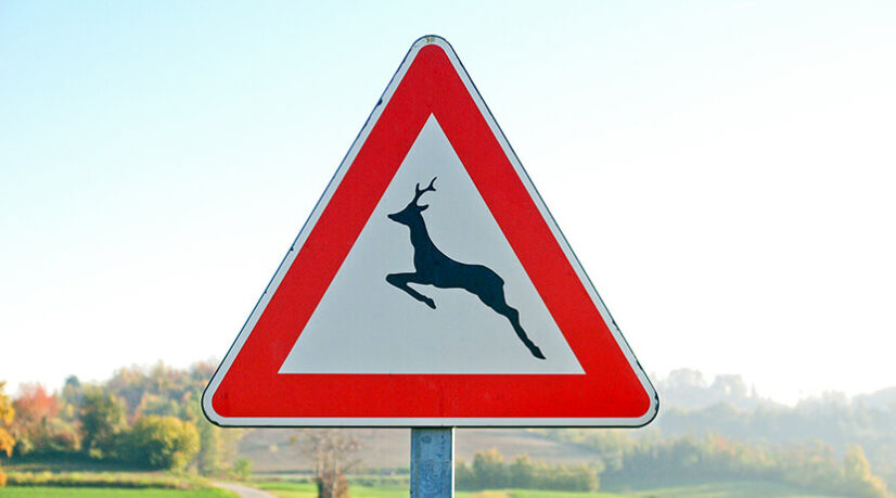 L’Essonne teste des dispositifs pour protéger les animaux