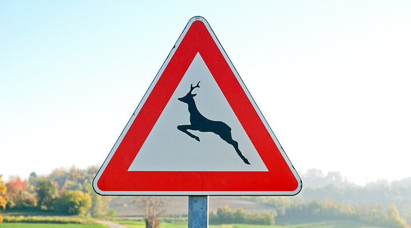 L’Essonne teste des dispositifs pour protéger les animaux