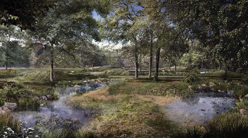 Renaturation annoncée de la forêt régionale de Saint-Eutrope