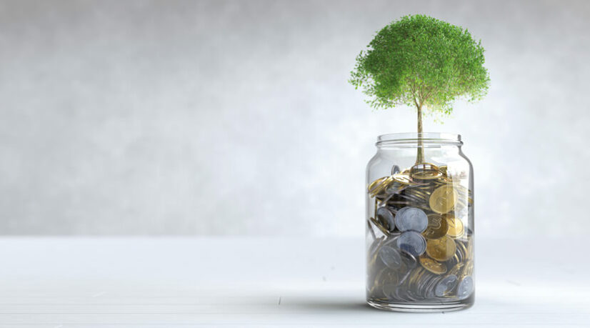 Épargne solidaire, le “socialwashing” sous contrôle