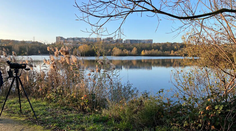 Une déclaration des droits du lac à Grigny et Viry-Châtillon