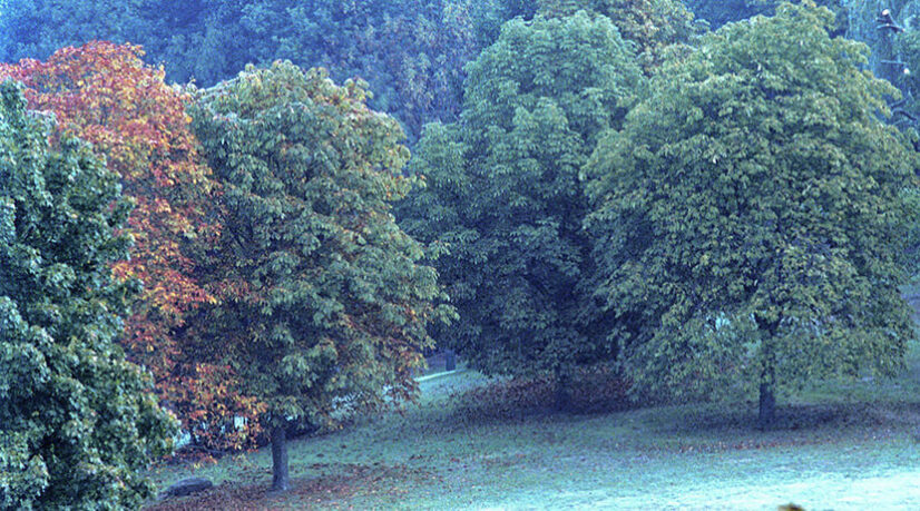 Des élus des Yvelines s’associent pour relever le défi climatique
