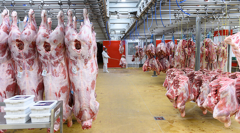 Le marché de Rungis devra payer 6,3 millions d’euros à la Sogaris