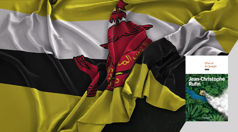 Coup d’État sans états d’âme