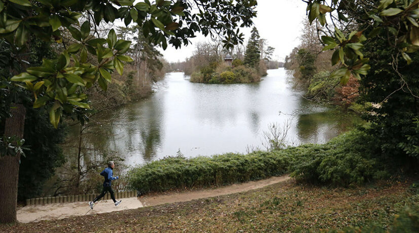 Bois de Boulogne et de Vincennes : des mesures pour mieux partager l’information entre élus parisiens