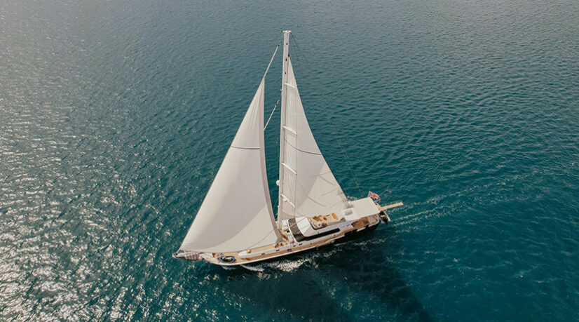 Des voiliers tendance grand large