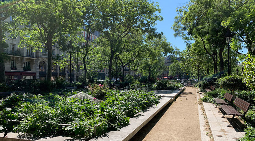 Le tribunal administratif retoque le projet de “ramblas” parisiennes