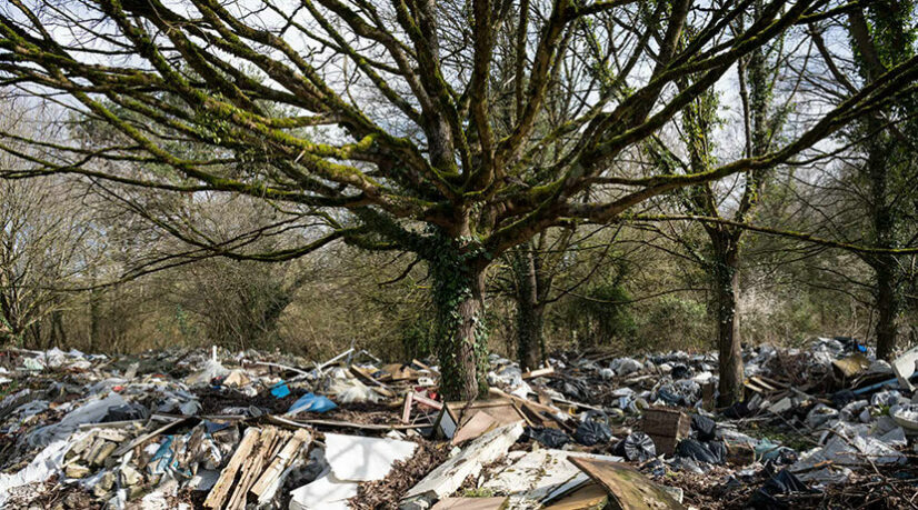 La future fan zone de Saint-Quentin-en-Yvelines dépolluée en express