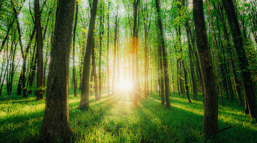 Saint-Quentin-en-Yvelines labellisée “territoire engagé pour la nature”