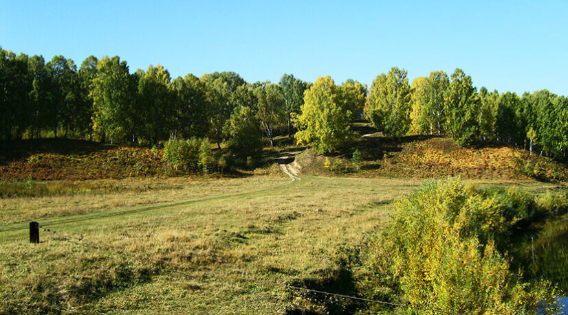 Feu vert pour un périmètre de protection des espaces agricoles et naturels dans le Val-de-Marne
