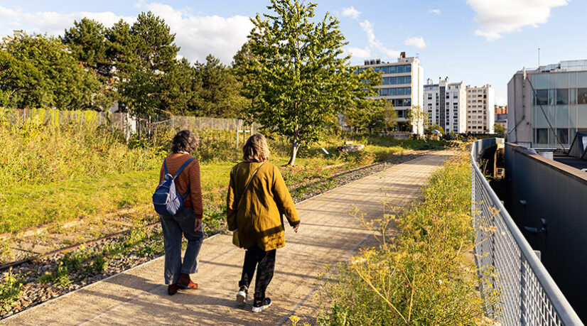 Une deuxième forêt urbaine dans le nord de la capitale