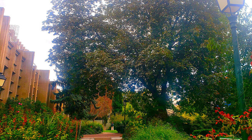 À Montrouge, le square de la discorde