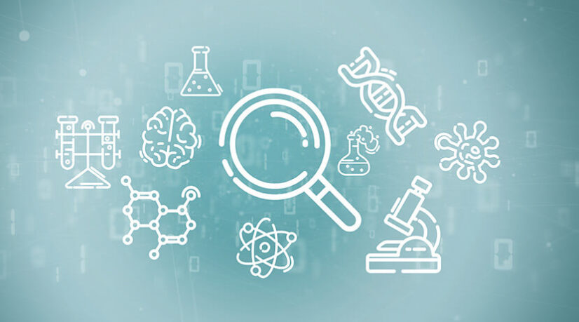 Franchises, l’innovation en partage