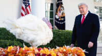 Happy Thanksgiving judiciaire pour Donald Trump
