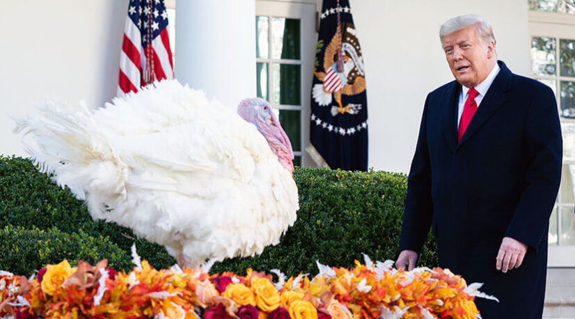 Happy Thanksgiving judiciaire pour Donald Trump