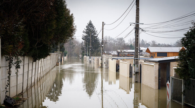 Bientôt la migration climatique en Seine-et-Marne ?