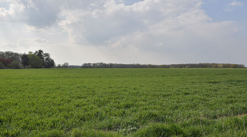 L’Essonne crée une banque foncière environnementale
