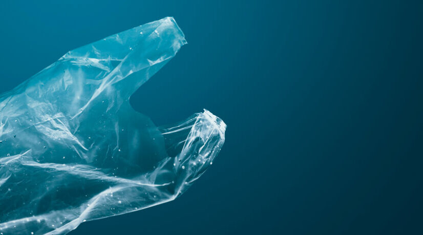 Le plastique challengé par les algues, les champignons et le maïs