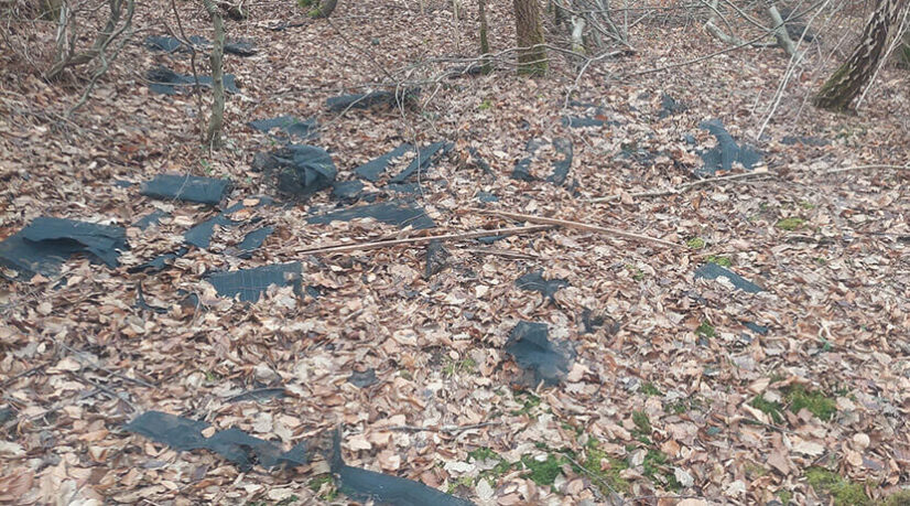Des associations accusent l’ONF d’avoir pollué des forêts des Yvelines