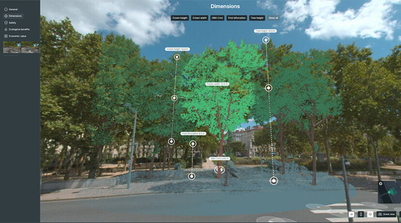 Une IA pour dresser l’inventaire des arbres du Val-de-Marne