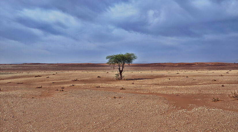 L’Afrique en panne d’investissements étrangers