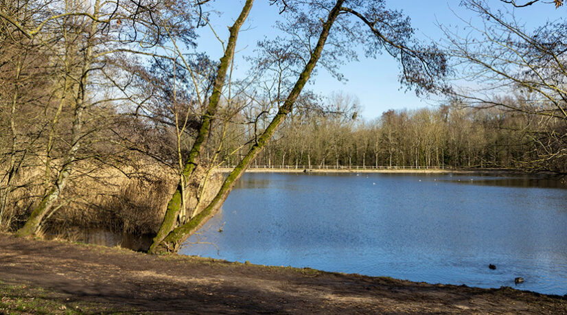 La Malmaison bientôt “forêt de protection”