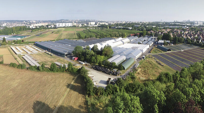 Rungis veut relancer l’agriculture sur la plaine de Montjean