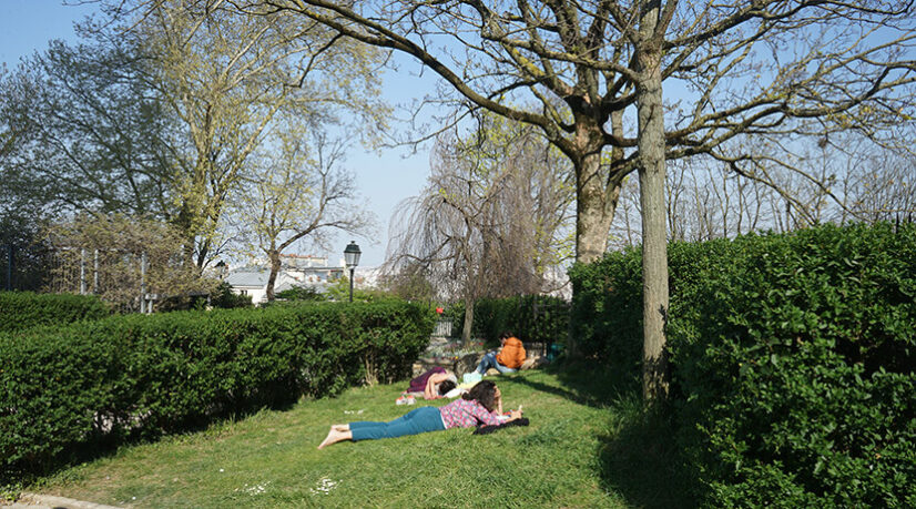 Plantations d’arbres à Paris : le bilan contesté d’Anne Hidalgo