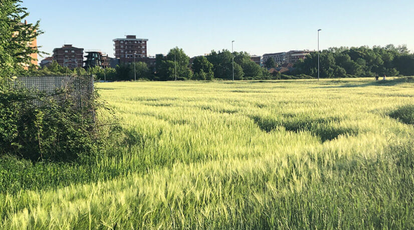 Ris-Orangis s’appuie sur l’étude des sols pour réviser son PLU