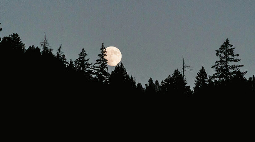 Le testament poétique de François Cheng