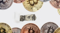 Cryptomonnaie, l’actif du “marécage” américain