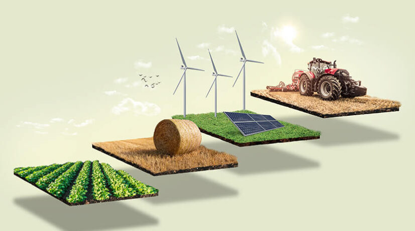 L’agrivoltaïsme, piste d’avenir pour l’agriculture ?