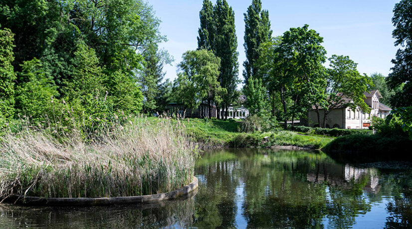 La renaissance du parc de la Roseraie de Châtenay-Malabry
