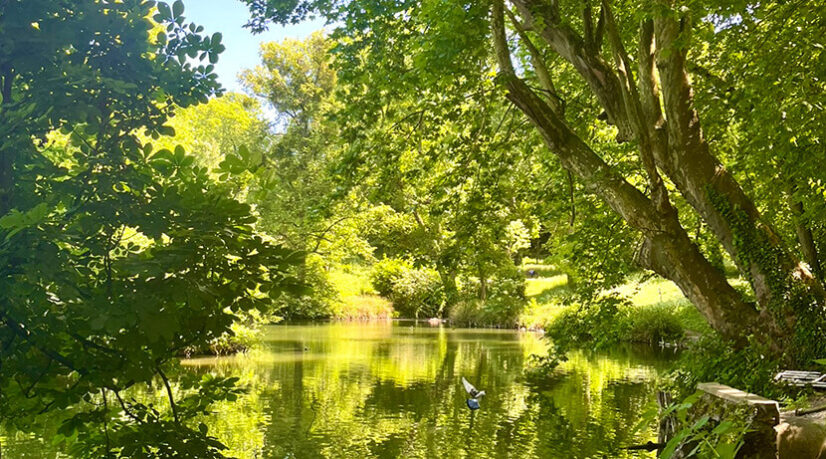 Le parc de la mairie de Clichy-sous-Bois retenu par la Mission Patrimoine 2025