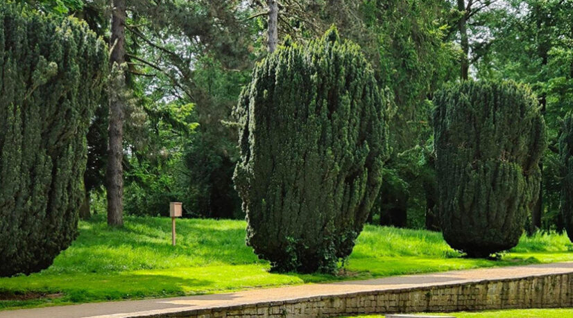 Paris installe des hôtels à abeilles pour analyser l’environnement