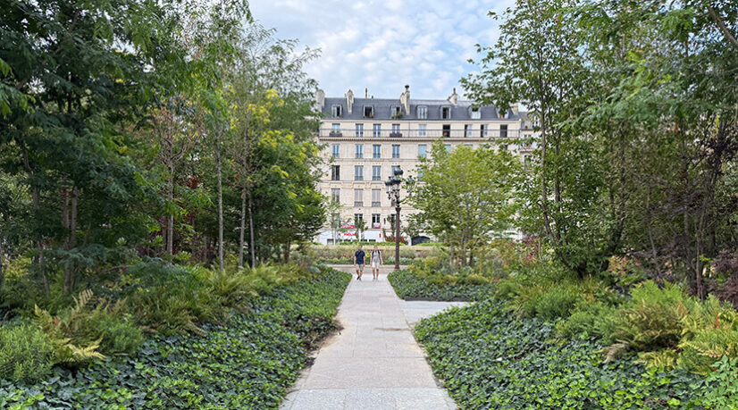 France Nature Environnement interpelle les candidats parisiens